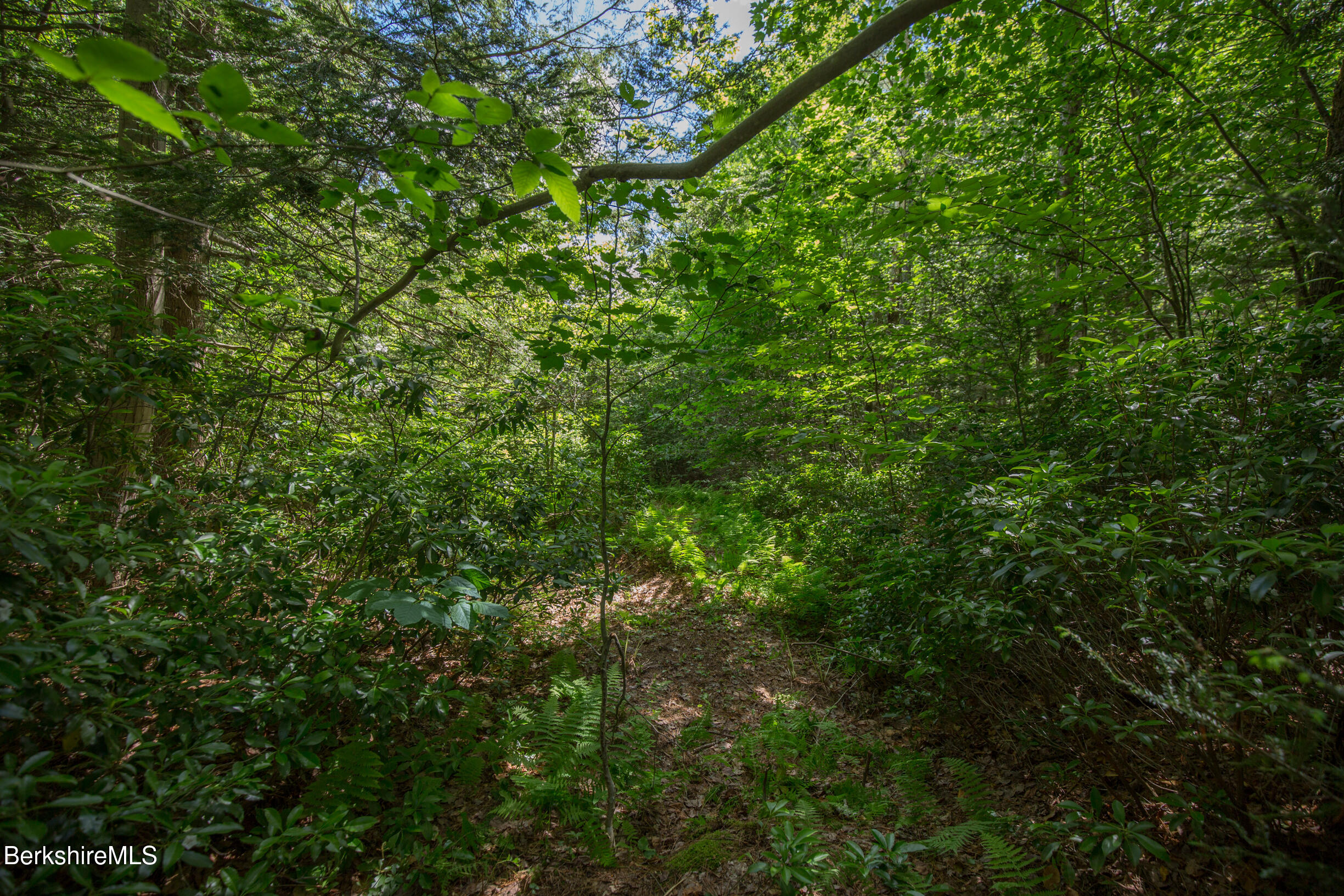 21 Stoney Brook Road Becket, MA 01223 - Photo 6 of 15 Land