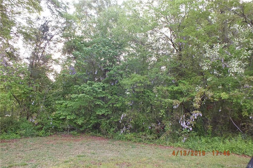 288 South Potter Road Lancaster, SC 29720 - Photo 22 of 24 a view of a forest with trees in the background