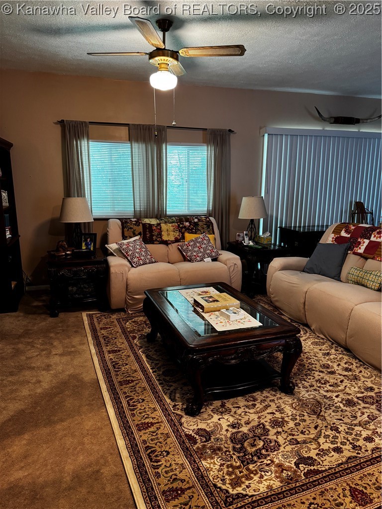 1198 Caney Branch Road Chapmanville, WV 25508 - Photo 7 of 50 Gallery Image 7