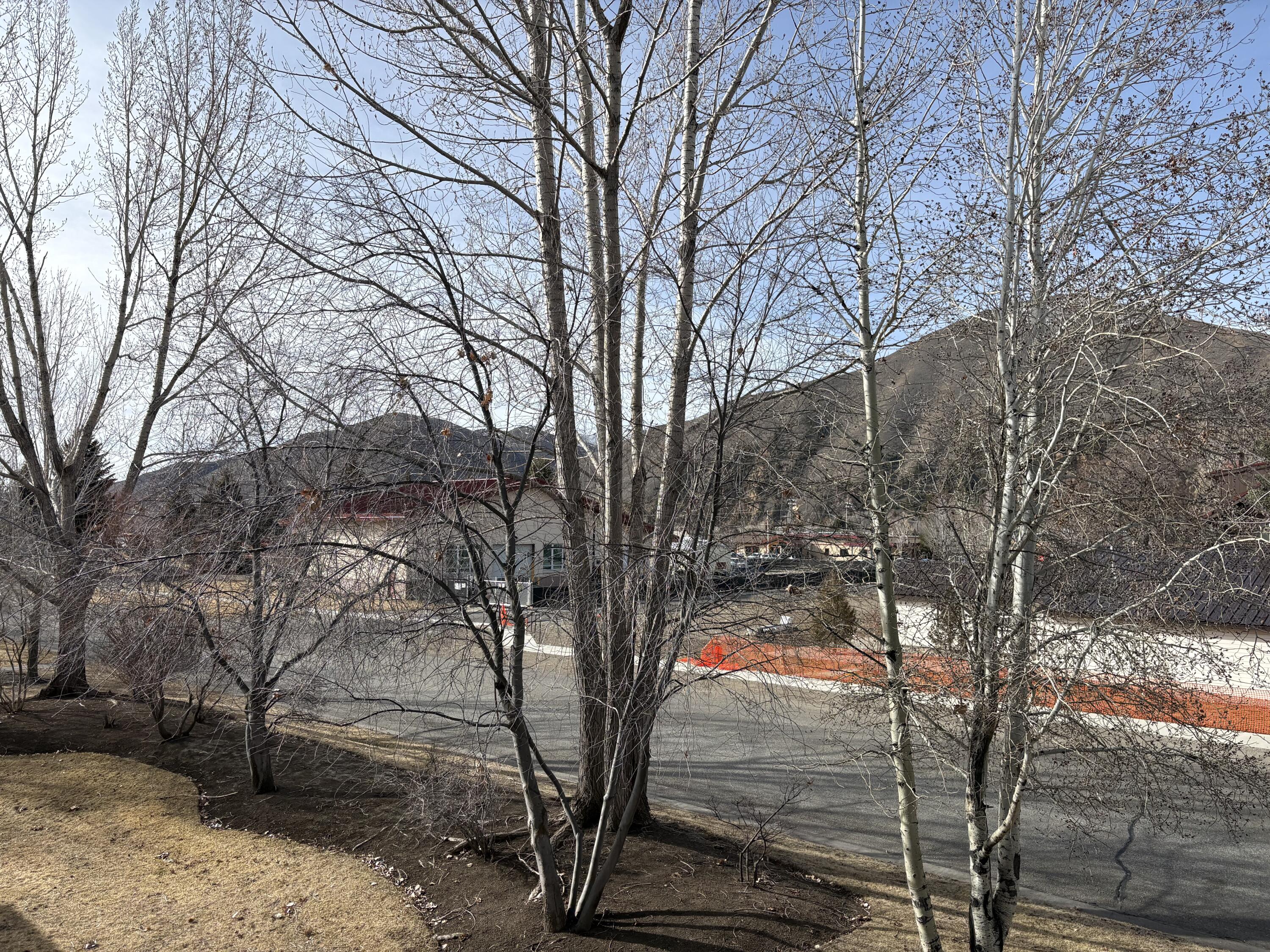 720 4th Avenue South, Unit A1 Hailey, ID 83333 - Photo 42 of 42 IMG_1482