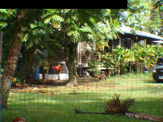 323 Hahana Road Haiku, HI 96708 - Photo 4 of 12 a view of swimming pool from a garden