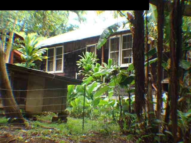 323 Hahana Road Haiku, HI 96708 - Photo 5 of 12 a plant is in front of a house