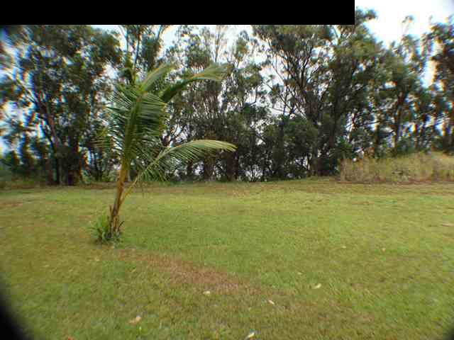323 Hahana Road Haiku, HI 96708 - Photo 10 of 12 a view of yard with green space