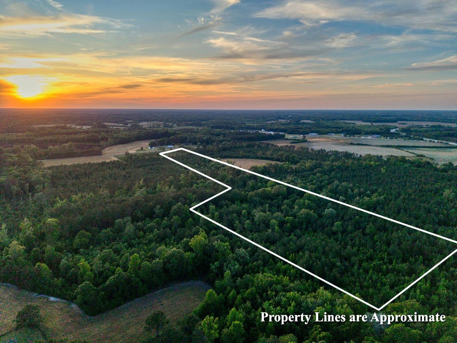 240 Guess Road Greeleyville, SC 29056 - Photo 3 of 4