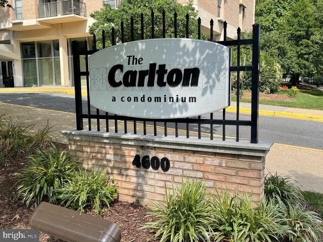 a view of a street with potted plants and large tree