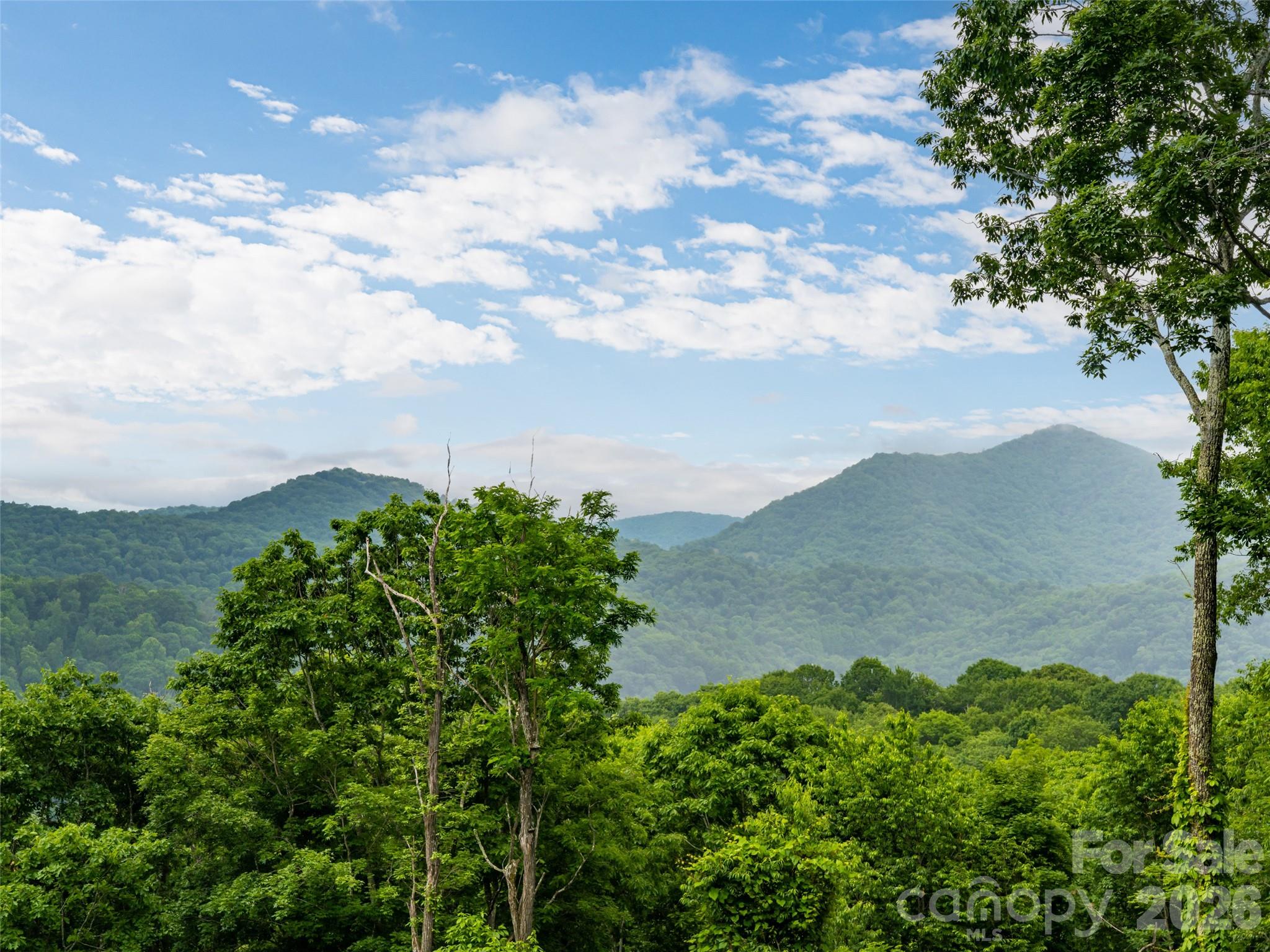 243 Pioneer Ridge Road Canton, NC 28716 - Photo 4 of 47