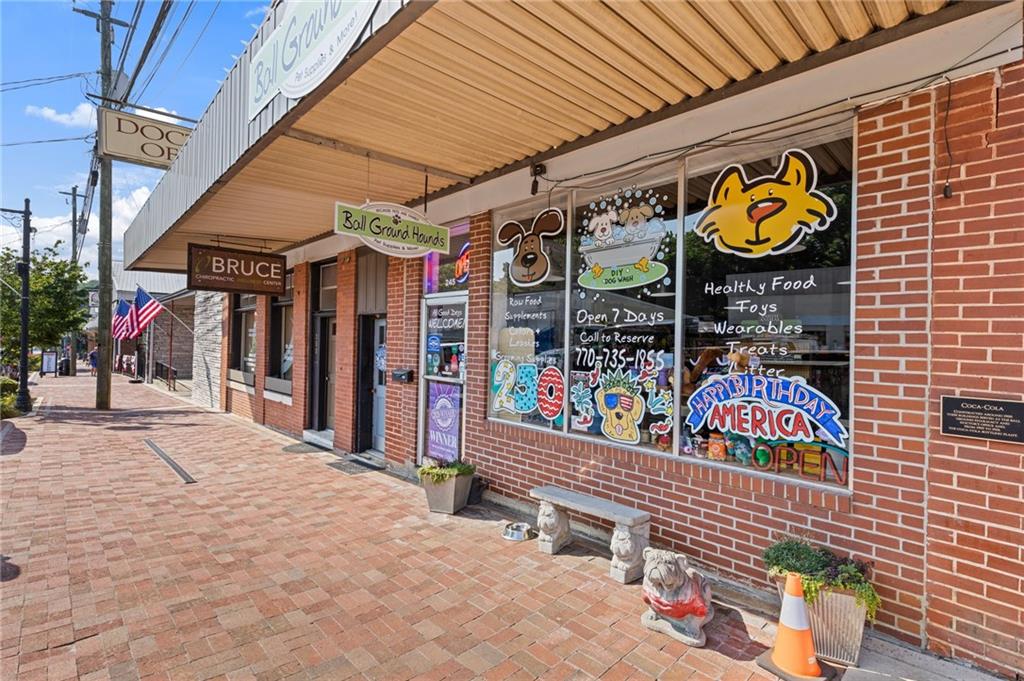 226 Old Canton Road Ball Ground, GA 30107 - Photo 42 of 57 Gallery Image 42