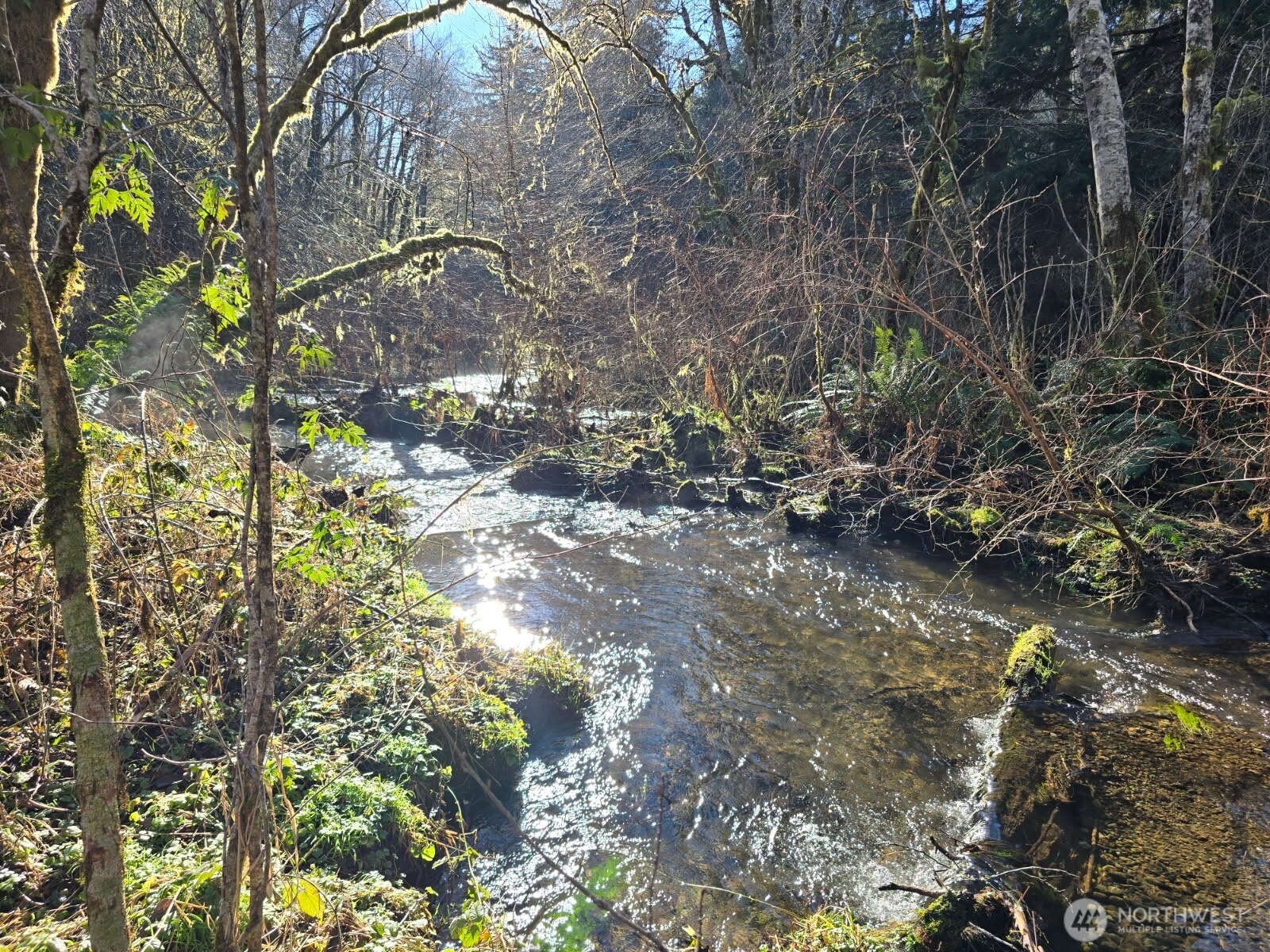 1531 West Ford Road Elma, WA 98541 - Photo 2 of 26