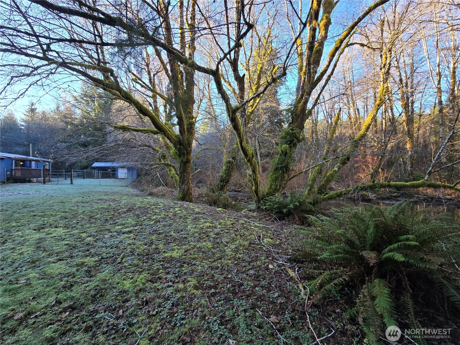 1531 West Ford Road Elma, WA 98541 - Photo 23 of 26