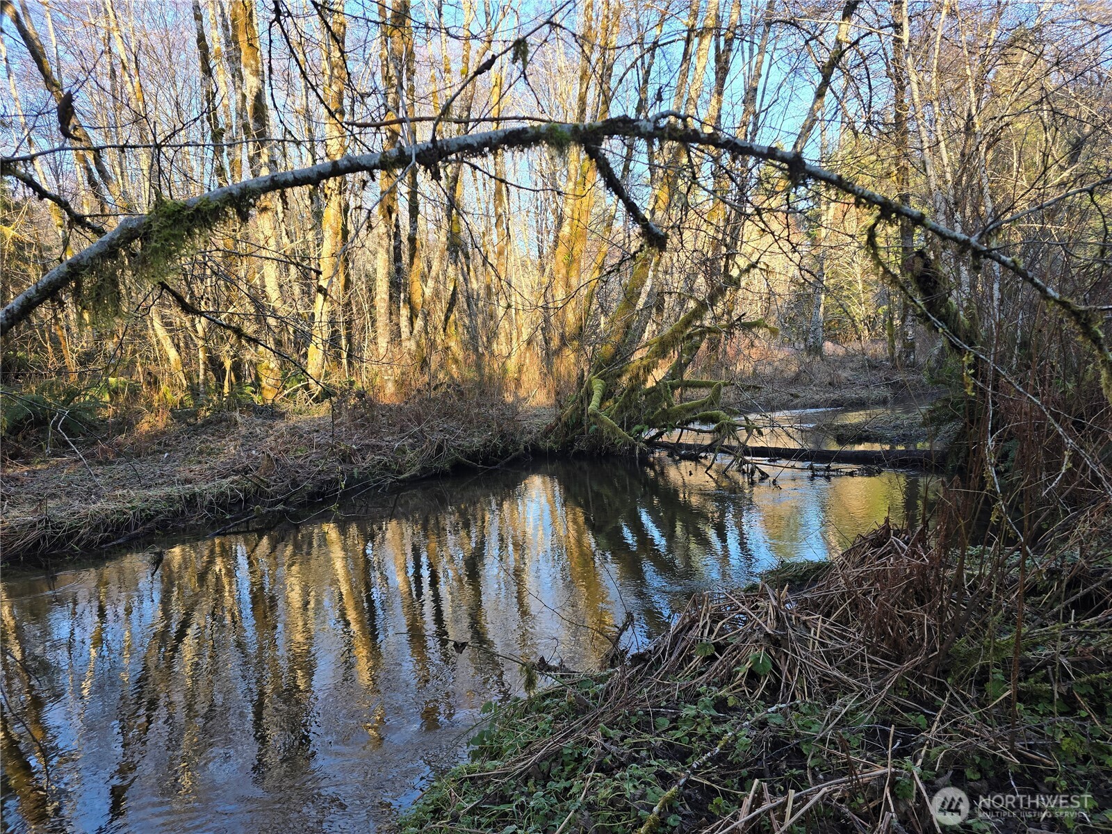 1531 West Ford Road Elma, WA 98541 - Photo 24 of 26