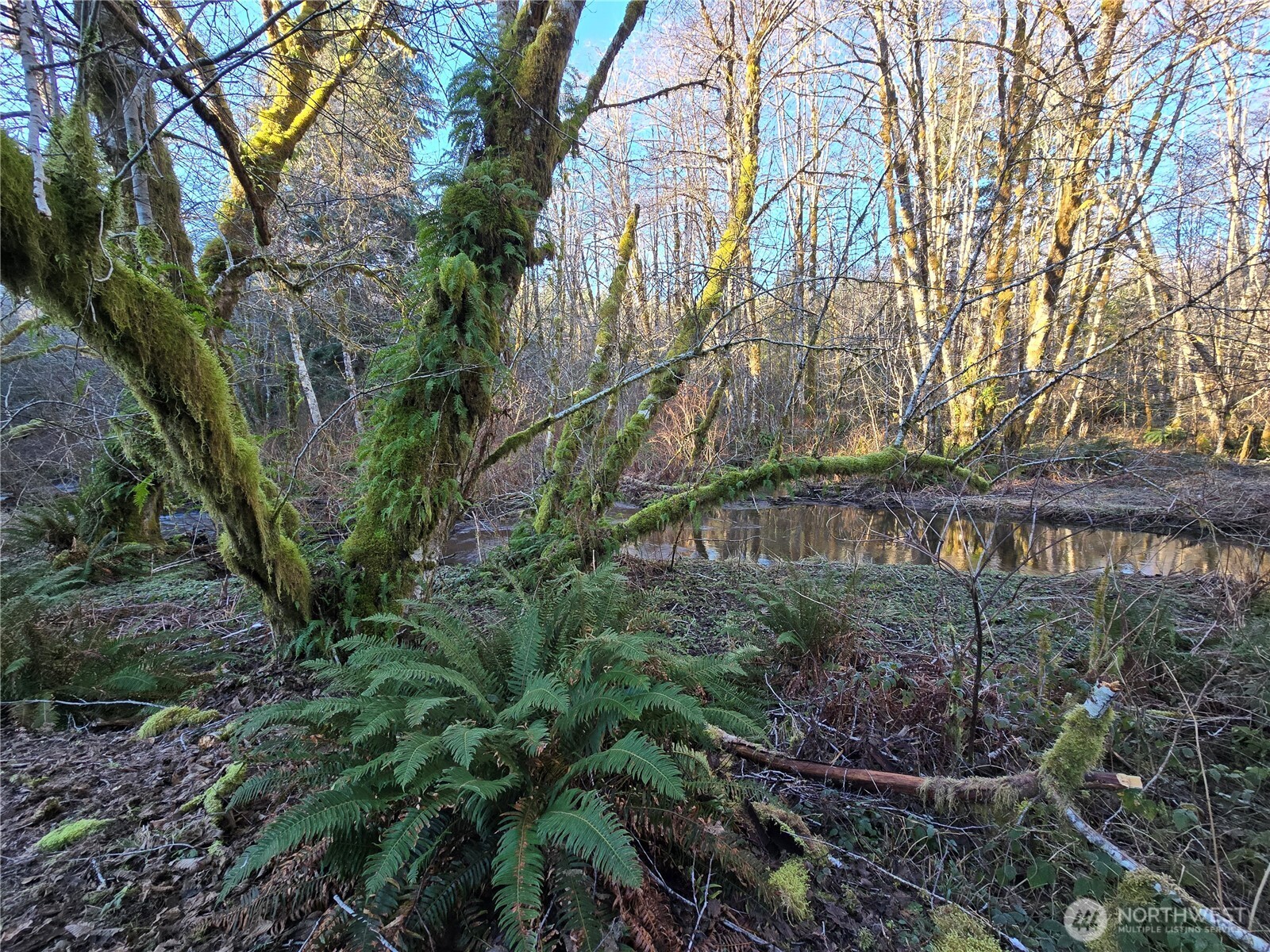 1531 West Ford Road Elma, WA 98541 - Photo 25 of 26