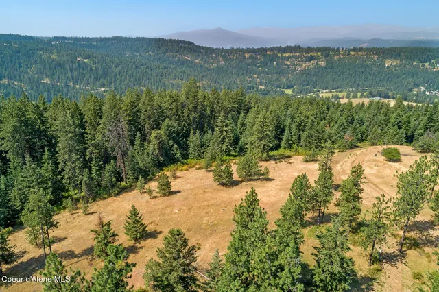 $2,650,000 | Nka East Lisa Road, Harrison, ID 83833