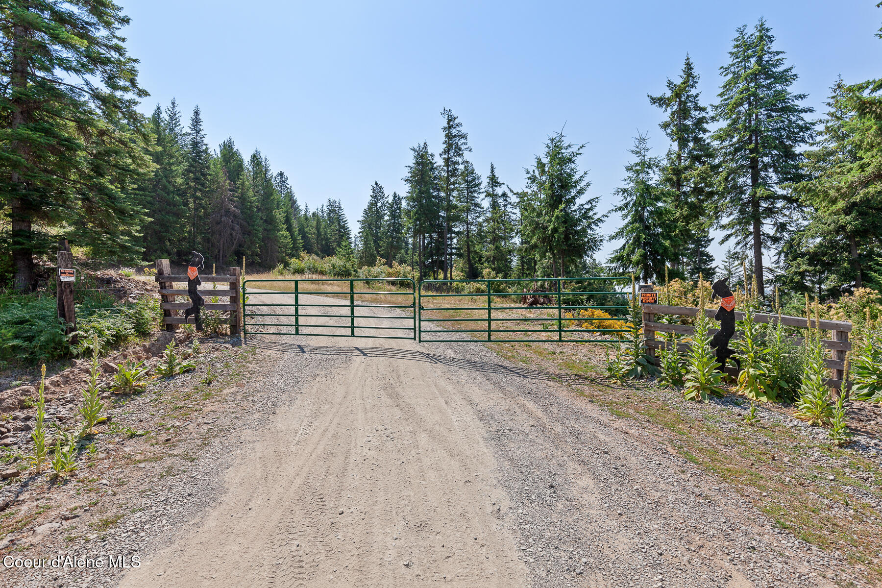 Nka East Lisa Road Harrison, ID 83833 - Photo 24 of 39 LisaRdLand-11
