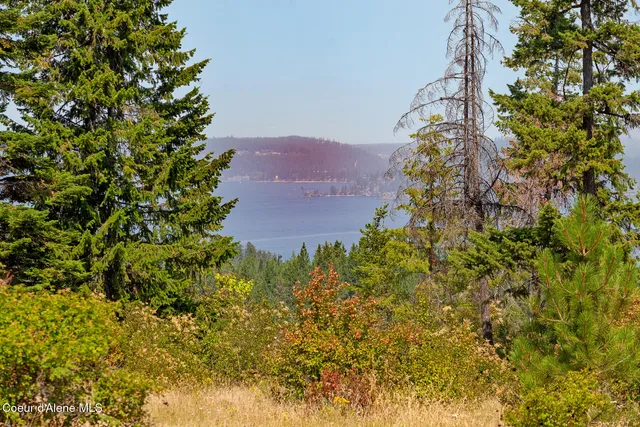 $2,650,000 | Nka East Lisa Road, Harrison, ID 83833