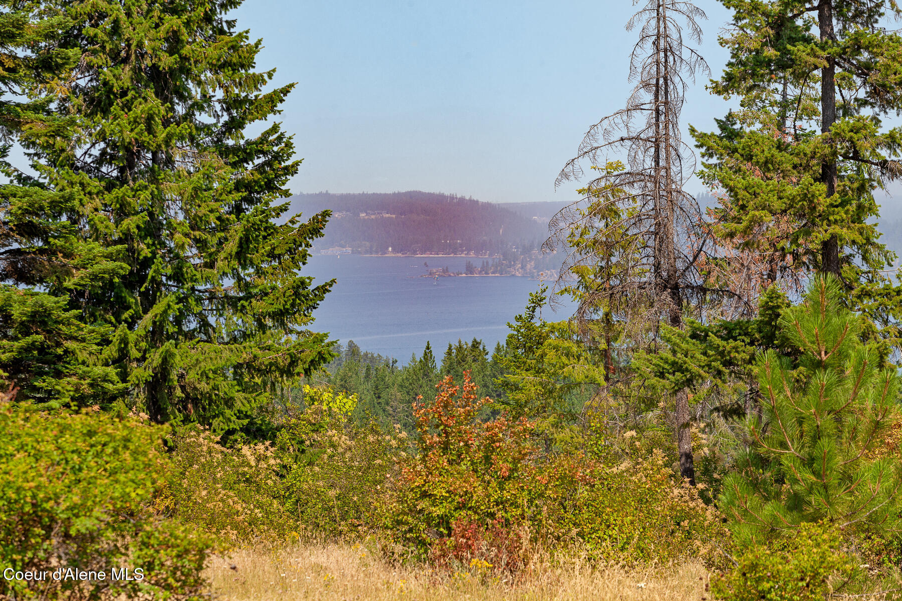 Nka East Lisa Road Harrison, ID 83833 - Photo 27 of 39 LisaRdLand-14