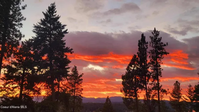 $2,650,000 | Nka East Lisa Road, Harrison, ID 83833