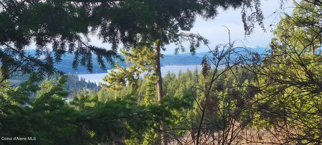 $2,650,000 | Nka East Lisa Road, Harrison, ID 83833