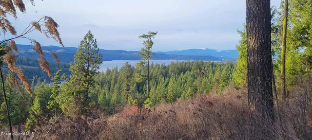 $2,650,000 | Nka East Lisa Road, Harrison, ID 83833