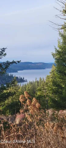 $2,650,000 | Nka East Lisa Road, Harrison, ID 83833