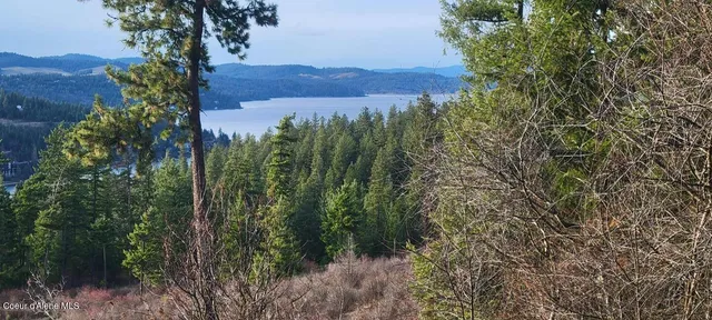 $2,650,000 | Nka East Lisa Road, Harrison, ID 83833