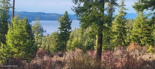 $2,650,000 | Nka East Lisa Road, Harrison, ID 83833