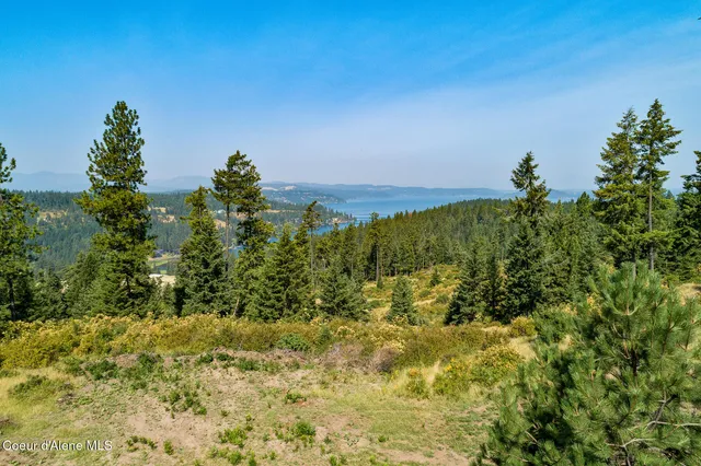 $2,650,000 | Nka East Lisa Road, Harrison, ID 83833