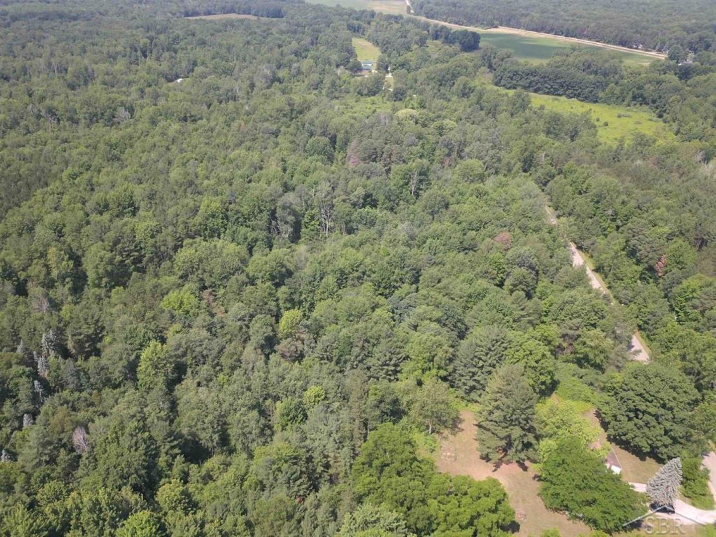Vl Obrien Road Vassar, MI 48768 - Photo 10 of 21