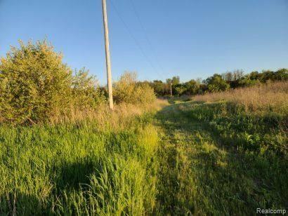 0 Dutcher Road Howell, MI 48843 - Photo 15 of 19