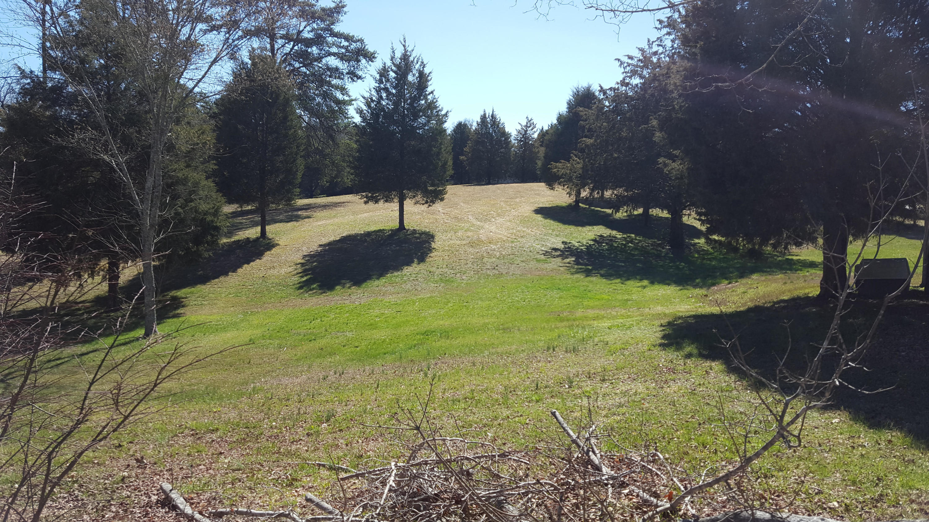 1410 Foust Carney Road Powell, TN 37849 - Photo 12 of 37 Front yard