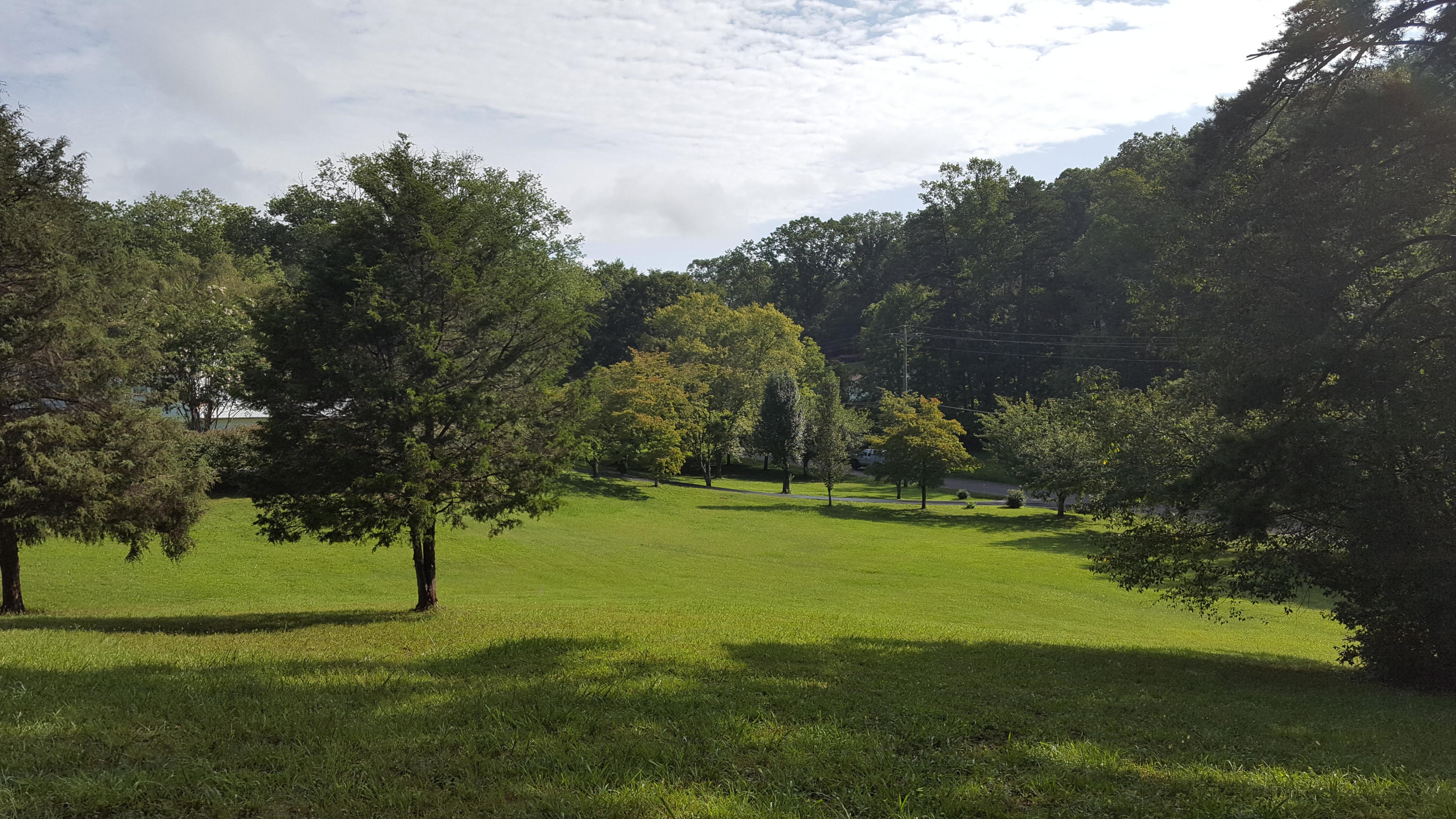 1410 Foust Carney Road Powell, TN 37849 - Photo 7 of 37 Pine trees
