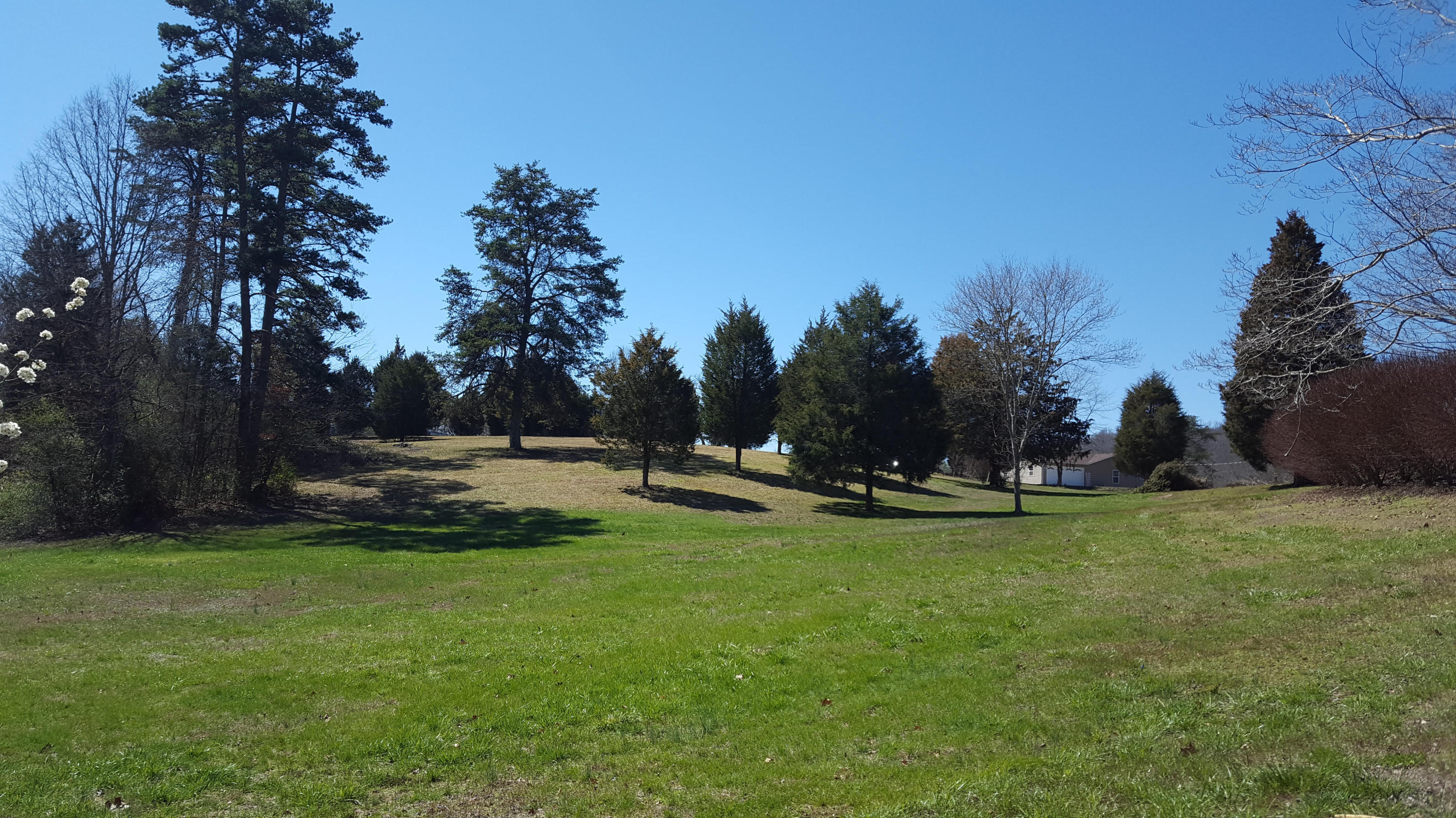 1410 Foust Carney Road Powell, TN 37849 - Photo 10 of 37 yard towards Pines