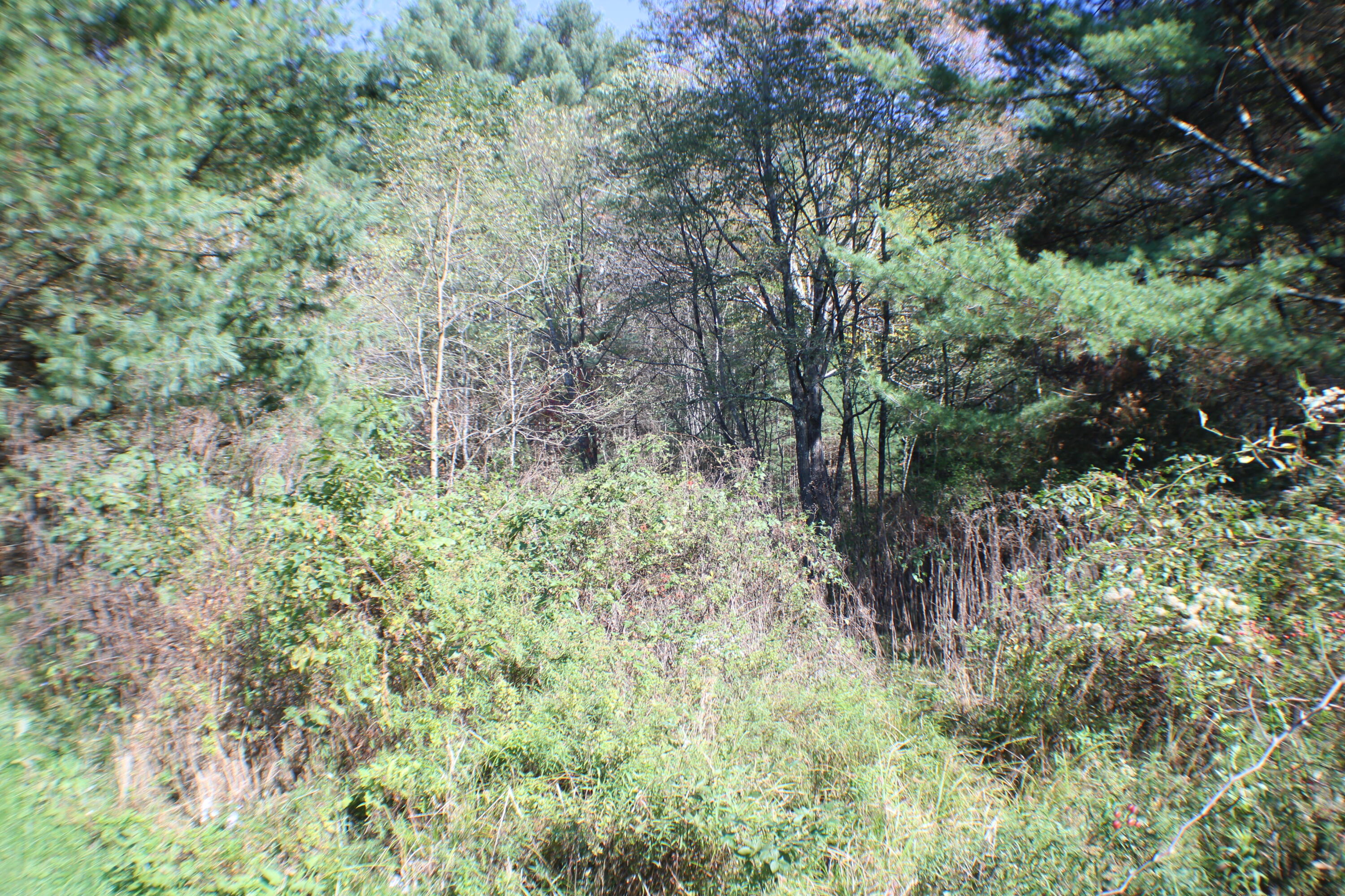Hively Road Dunmore, WV 24934 - Photo 5 of 6 Gallery Image 5