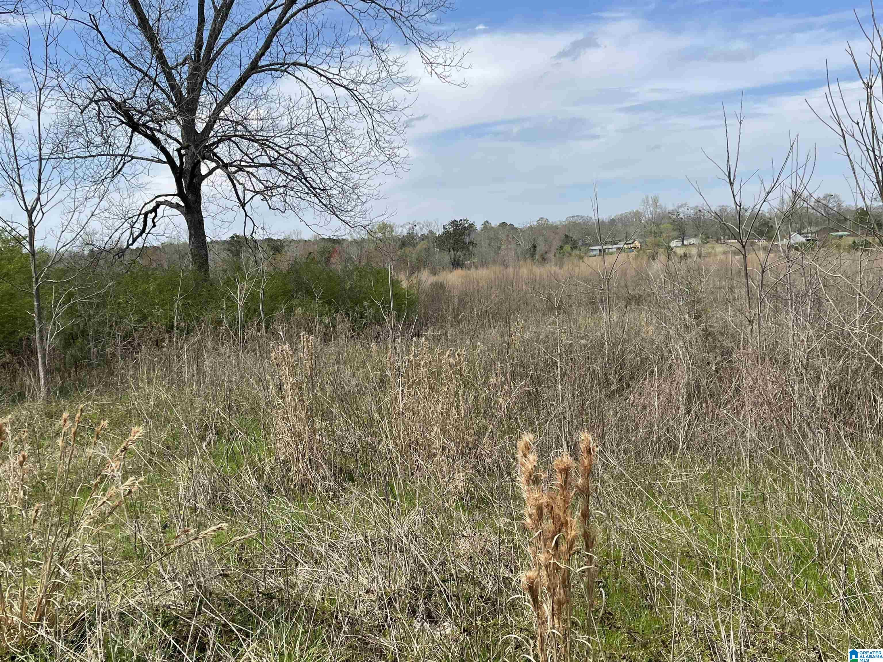 633 B County Road 83, Unit 1 Clanton, AL 35045 - Photo 2 of 3