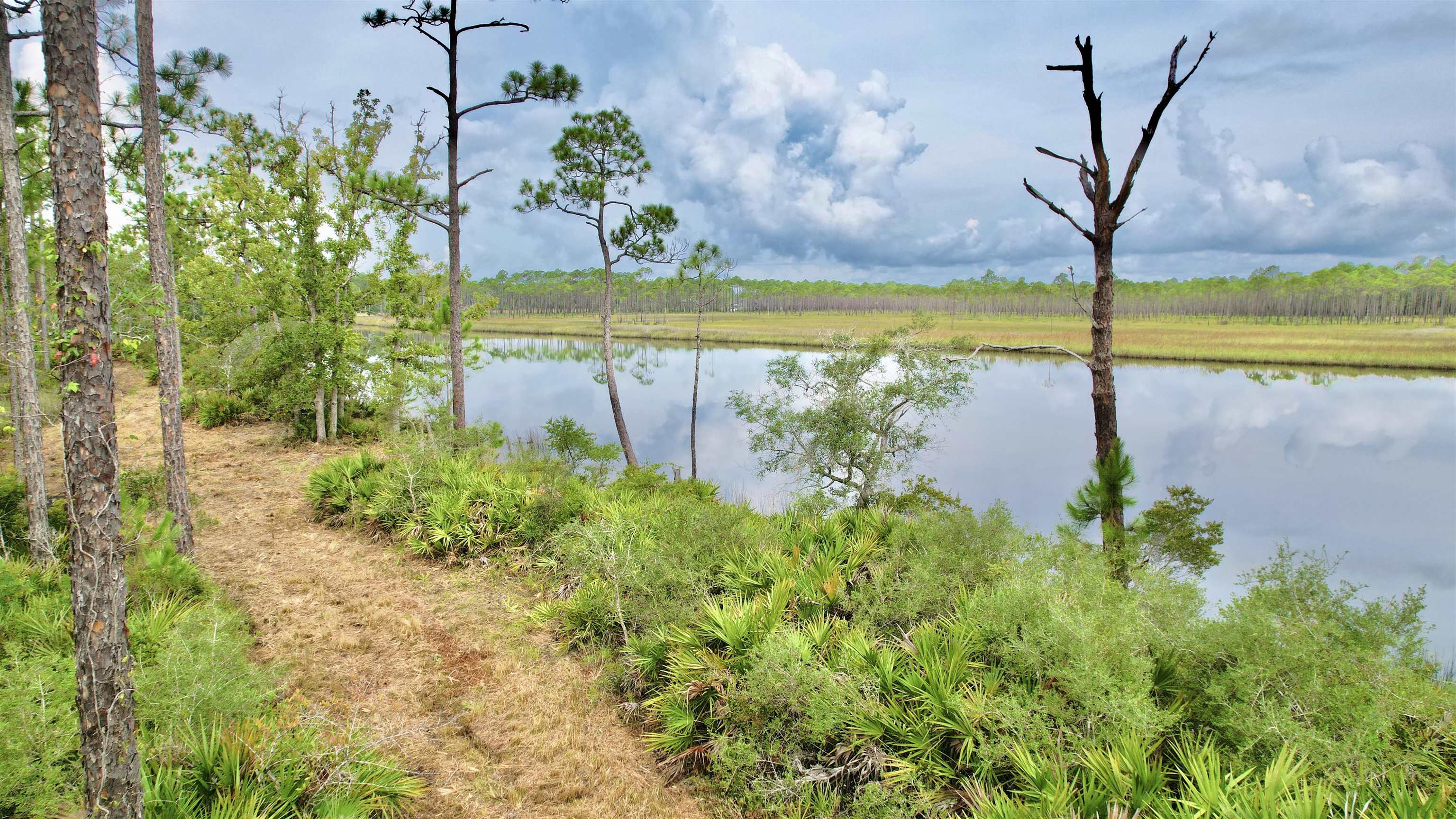 Xx Mill Road Carrabelle, FL 32322 - Photo 17 of 17