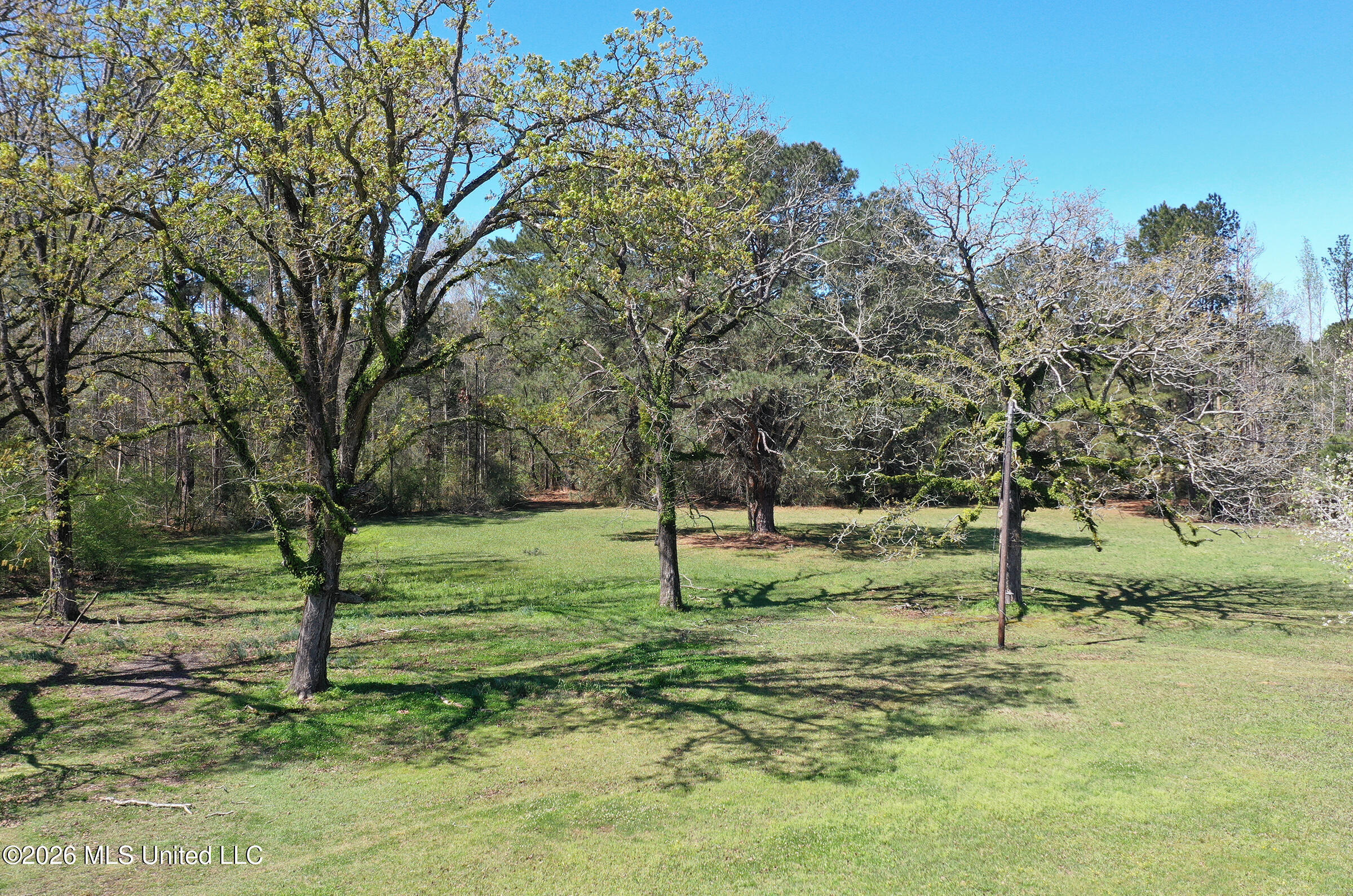 3112 Highway 98 Summit, MS 39666 - Photo 40 of 45 DJI_0007