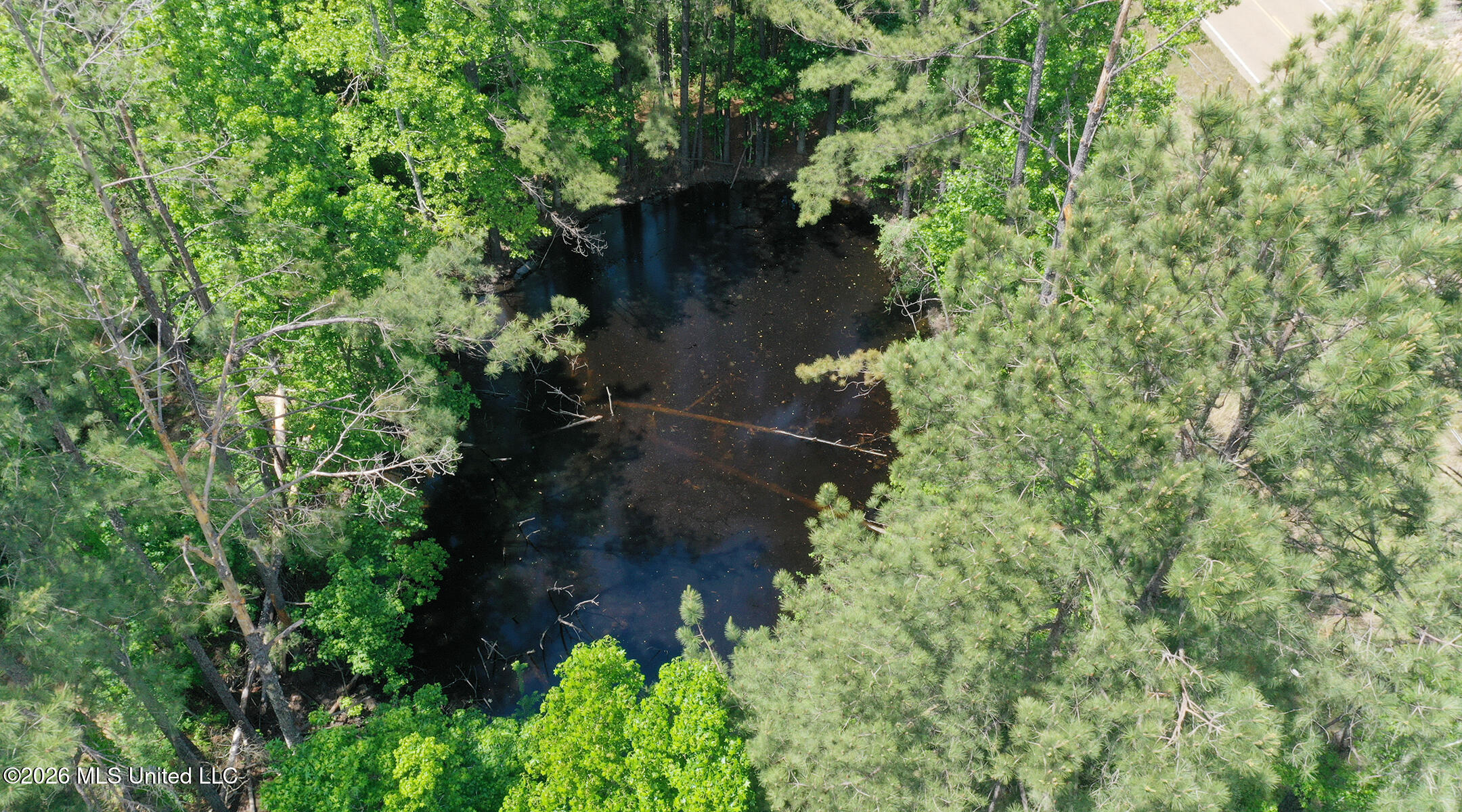 3112 Highway 98 Summit, MS 39666 - Photo 46 of 48 DJI_0380