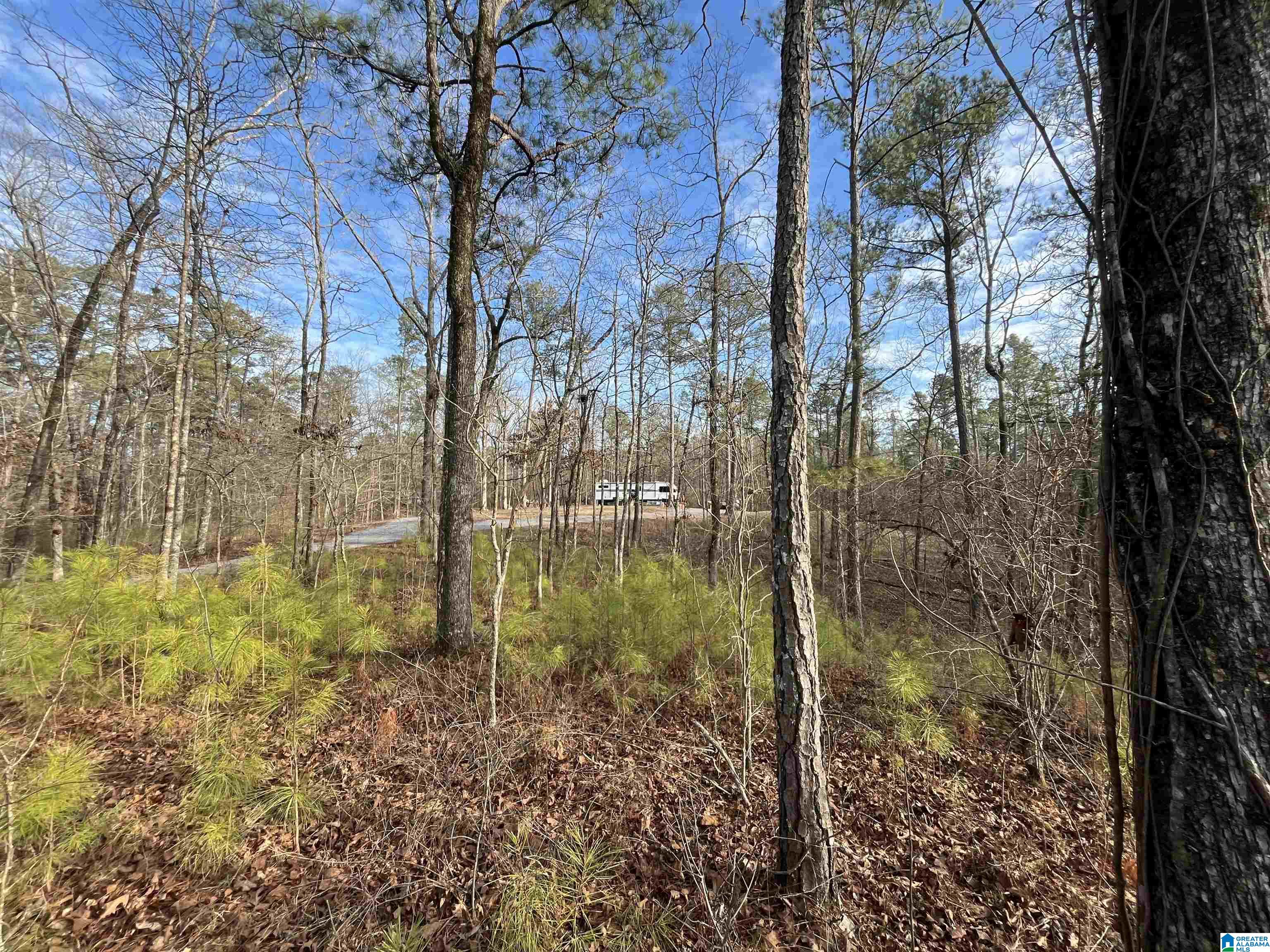 1721 Westover Road Sterrett, AL 35147 - Photo 19 of 31 Gallery Image 19