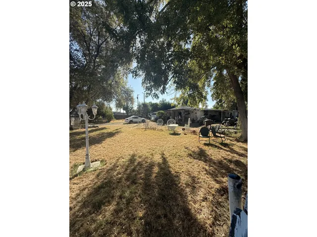 a view of a yard with trees