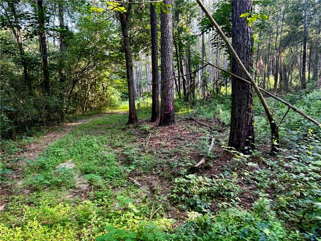 3 Ward Line Road Bogalusa, LA 70427 - Photo 5 of 12