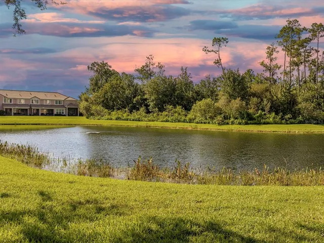 view of a black and white photo