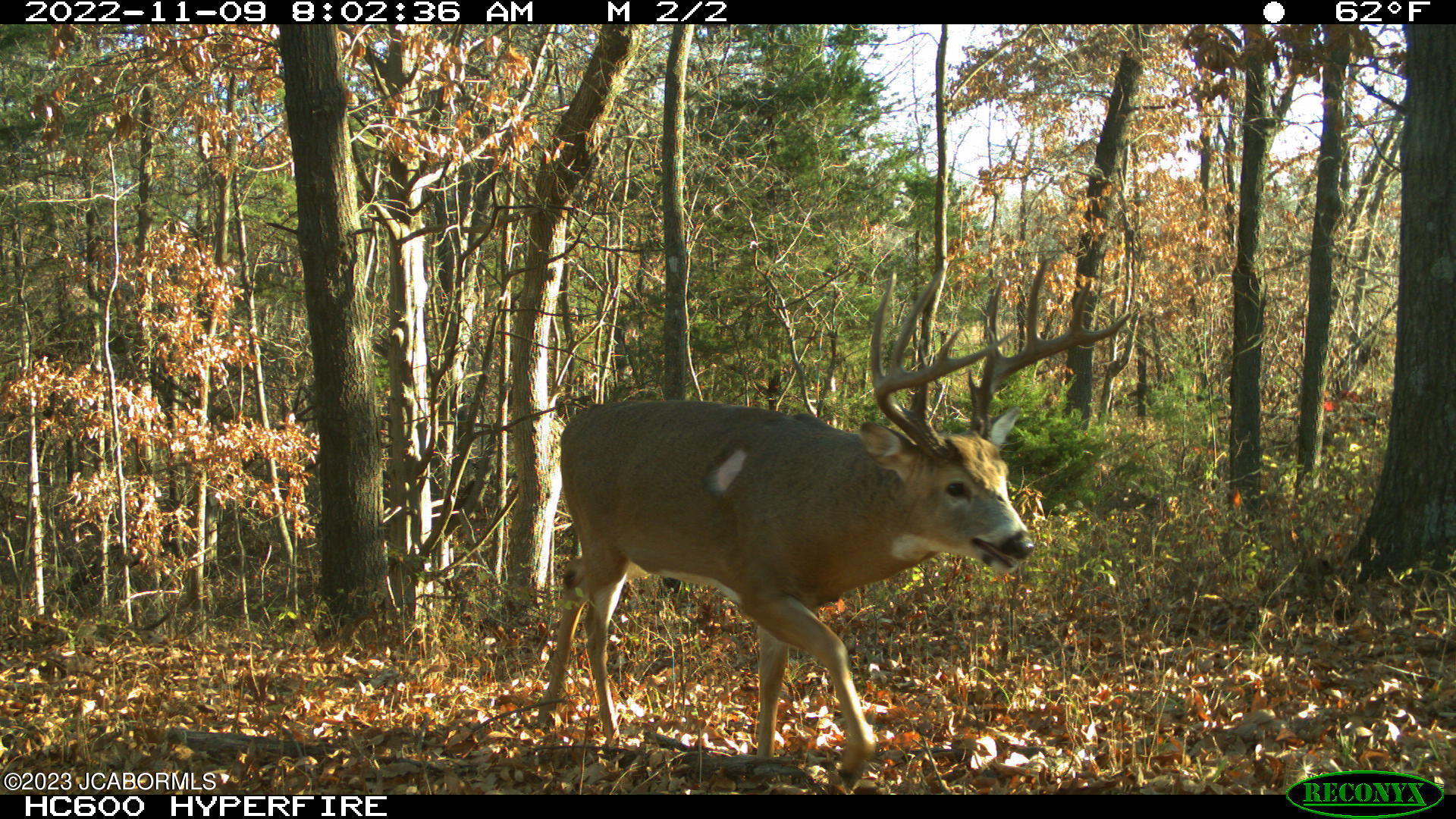 Tbd Big Lick Road Boonville, MO 65233 - Photo 32 of 59