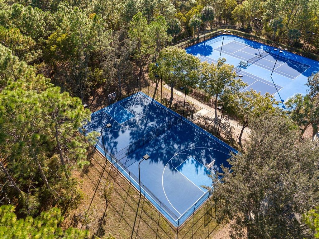 3797 Autumn Amber Dr Spring Hill Spring Hill, FL 34609 - Photo 40 of 44 a view of a tree with a yard