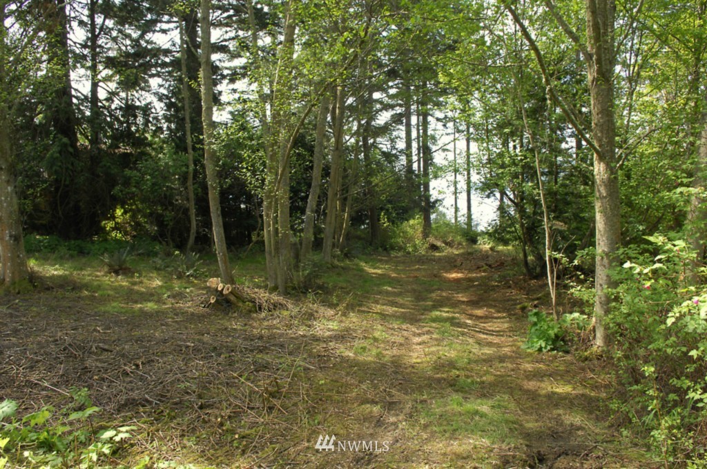 5216 West Shore Road Anacortes, WA 98221 - Photo 5 of 8 Gallery Image 5