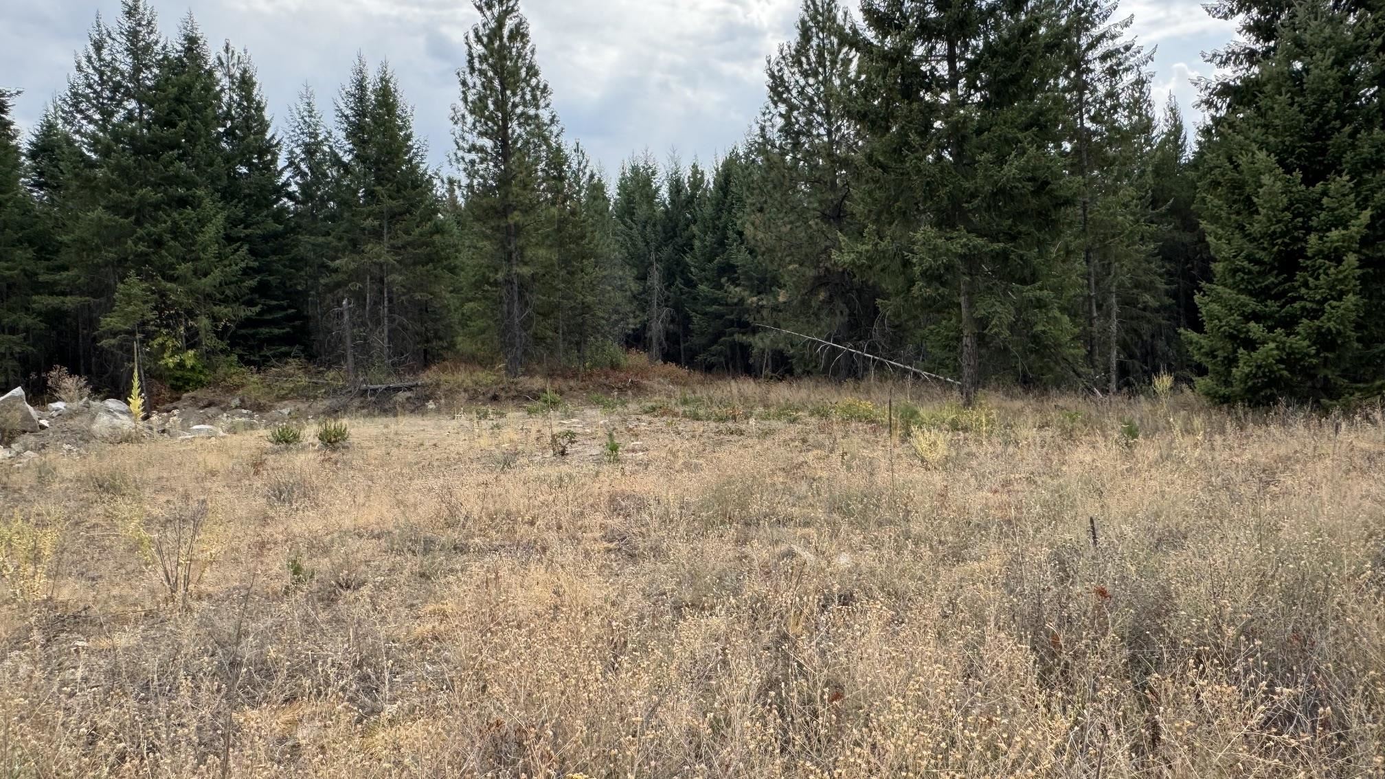 10313 Spring Valley Road Elk, WA 99009 - Photo 5 of 28 Gallery Image 5