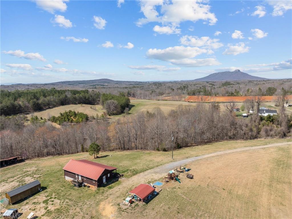 202 Roby Fulk Road Pinnacle, NC 27043 - Photo 27 of 49