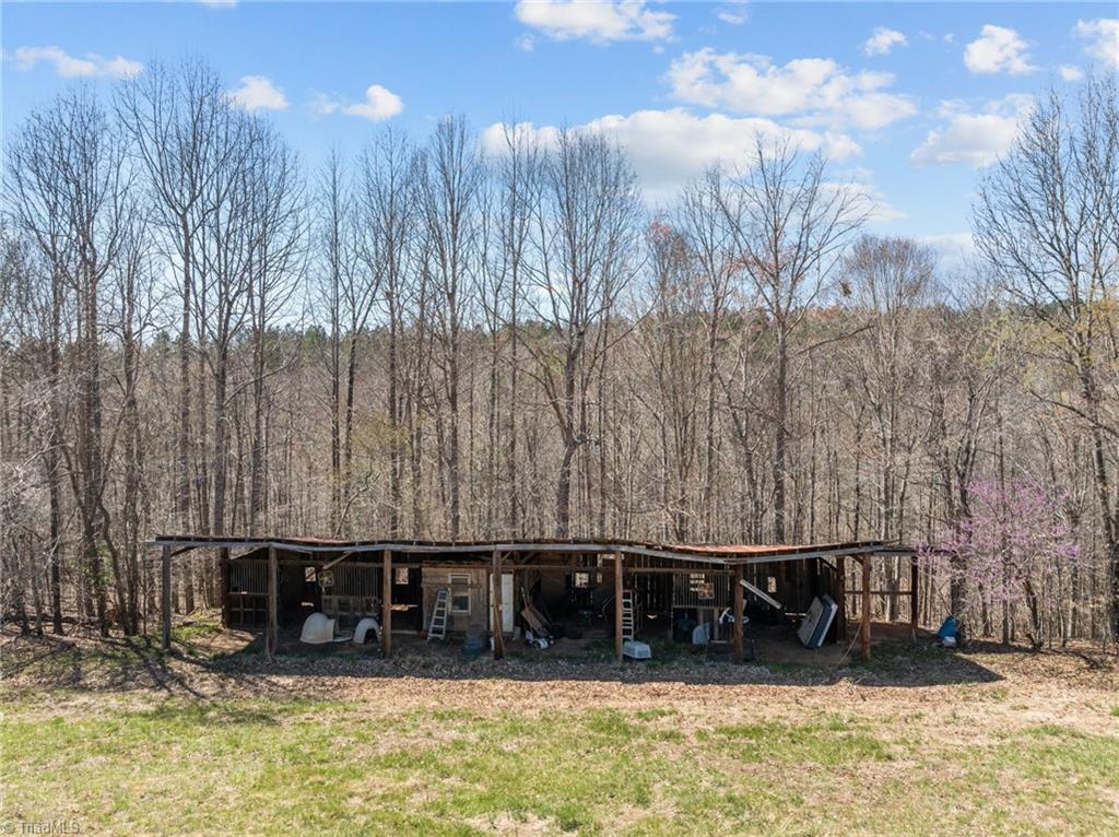 202 Roby Fulk Road Pinnacle, NC 27043 - Photo 30 of 49