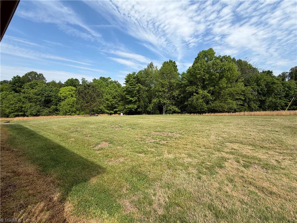 202 Roby Fulk Road Pinnacle, NC 27043 - Photo 36 of 49
