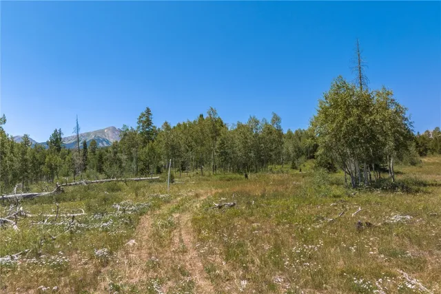 $5,642,500 | Tbd Tbd Whetstone Drive, Unit 5, Silverthorne, CO 80498