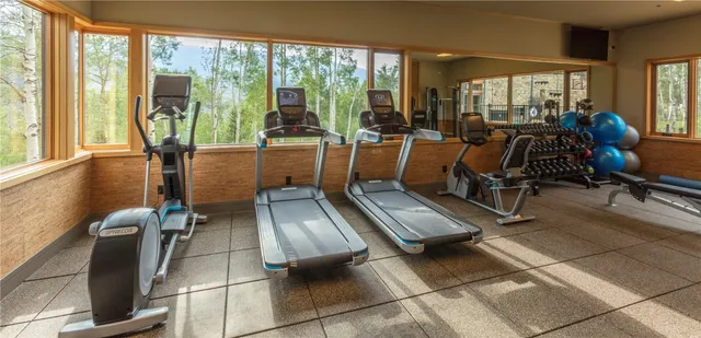 $5,642,500 | Tbd Tbd Whetstone Drive, Unit 5, Silverthorne, CO 80498