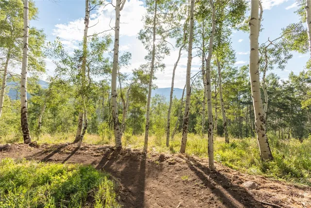 $5,642,500 | Tbd Tbd Whetstone Drive, Unit 5, Silverthorne, CO 80498
